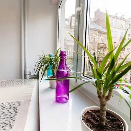 Apartament Politechnika *